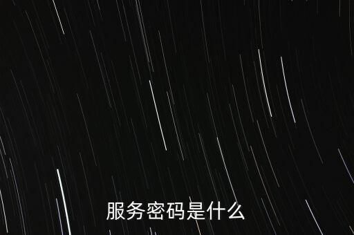 服務(wù)密碼是什么