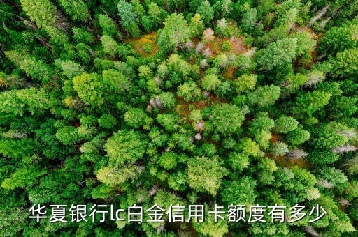 華夏銀行l(wèi)c信用卡額度最低多少錢(qián)，華夏銀行l(wèi)c白金信用卡額度有多少