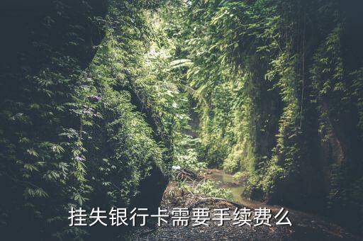代理掛失需要什么手續(xù)費(fèi)，讓別人代辦掛失銀行卡需要公證下費(fèi)用大概是多少呢