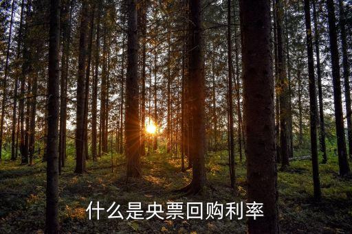 央行回購(gòu)利率是什么，什么是央票回購(gòu)利率