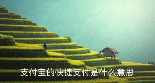 支付寶的快捷支付是什么意思