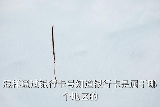 怎樣通過銀行卡號知道銀行卡是屬于哪個地區(qū)的