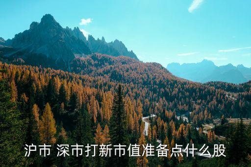 滬市打新買什么股，買甚么股票才能申購滬A新股