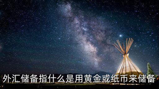 外匯儲(chǔ)備指什么是用黃金或紙幣來儲(chǔ)備