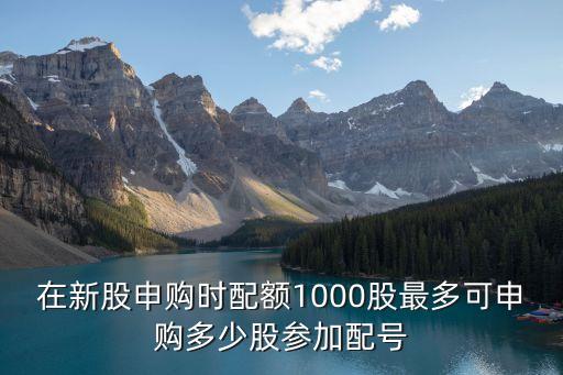 在新股申購時配額1000股最多可申購多少股參加配號