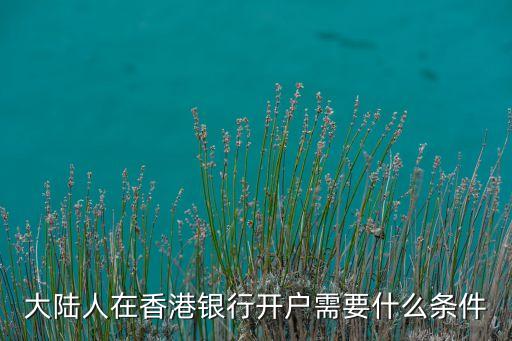 大陸人在香港銀行開(kāi)戶需要什么條件