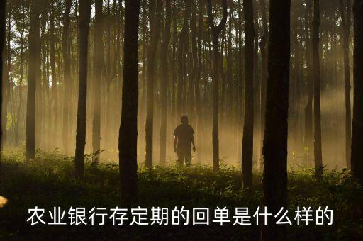 農業(yè)銀行存定期的回單是什么樣的