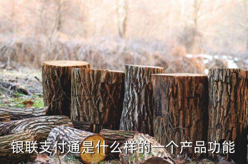 銀聯(lián)支付通是什么樣的一個產(chǎn)品功能