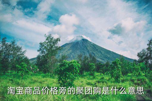 聚錢購是什么東西嗎，淘寶上的團聚購是什么意思