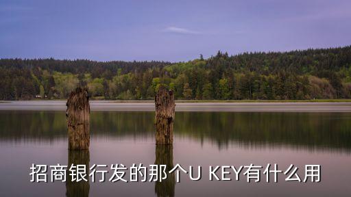 招商銀行發(fā)的那個(gè)U KEY有什么用