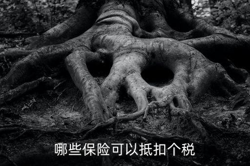 買什么保險(xiǎn)好個(gè)人所得稅，7月起有哪些個(gè)保險(xiǎn)可抵扣個(gè)稅
