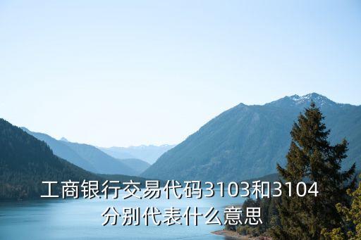 工商銀行交易代碼3103和3104 分別代表什么意思