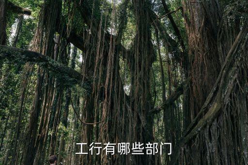 工行有哪些部門(mén)