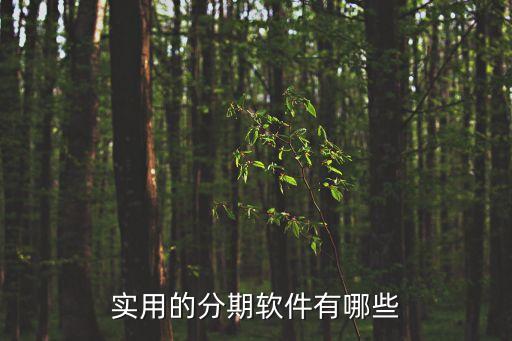 什么分期貸款好用，貸款分期還款的軟件那個(gè)比較好呢