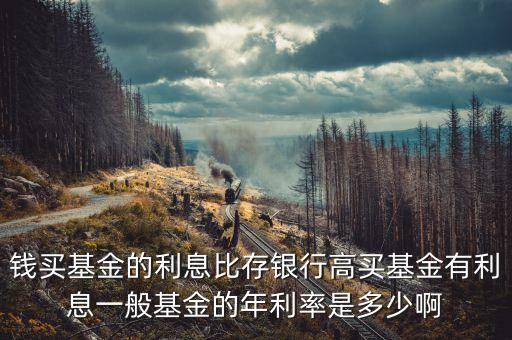 錢買基金的利息比存銀行高買基金有利息一般基金的年利率是多少啊