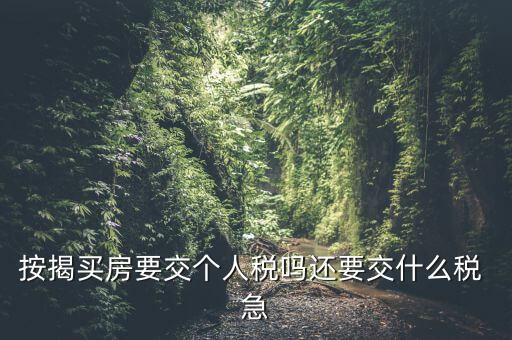 按揭買房要交個(gè)人稅嗎還要交什么稅 急