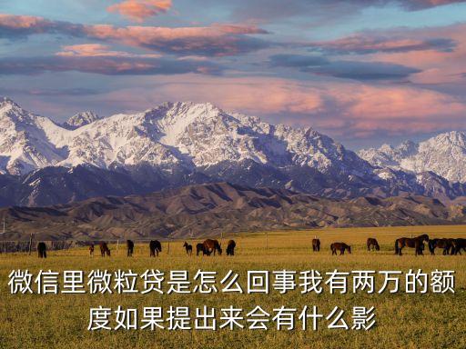 微信里微粒貸是怎么回事我有兩萬的額度如果提出來會有什么影