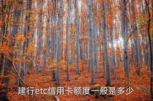 建行etc信用卡額度一般是多少