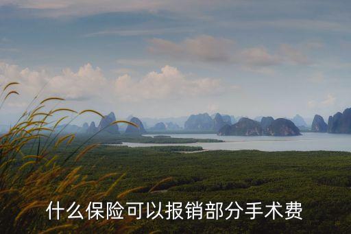 住院手術(shù)什么保險(xiǎn)嗎，什么保險(xiǎn)可以報(bào)銷部分手術(shù)費(fèi)