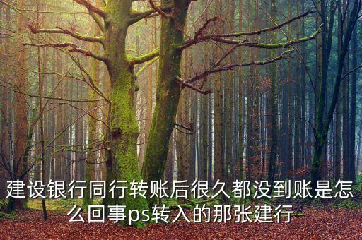 建設(shè)銀行同行轉(zhuǎn)賬后很久都沒到賬是怎么回事ps轉(zhuǎn)入的那張建行