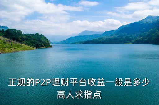 正規(guī)的P2P理財平臺收益一般是多少高人求指點