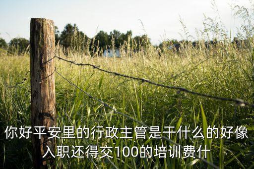 平安銀行行政做什么的，你好平安里的行政主管是干什么的好像入職還得交100的培訓費什