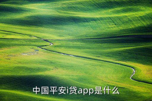 i貸是什么意思啊，i貸多大年齡能貸