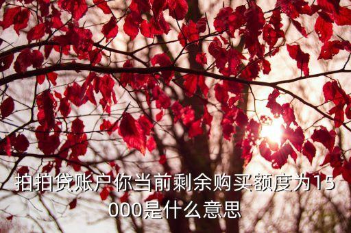拍拍貸賬戶你當(dāng)前剩余購買額度為15000是什么意思