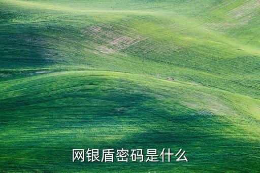 網(wǎng)銀盾密碼是什么