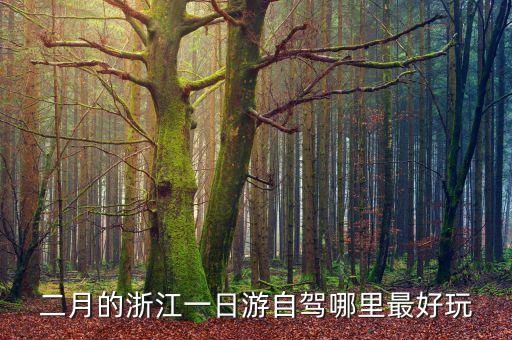 二月的浙江一日游自駕哪里最好玩