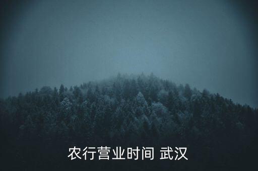 農(nóng)行營(yíng)業(yè)時(shí)間 武漢