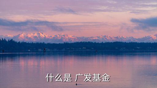 什么是廣發(fā)基金，什么是 廣發(fā)基金