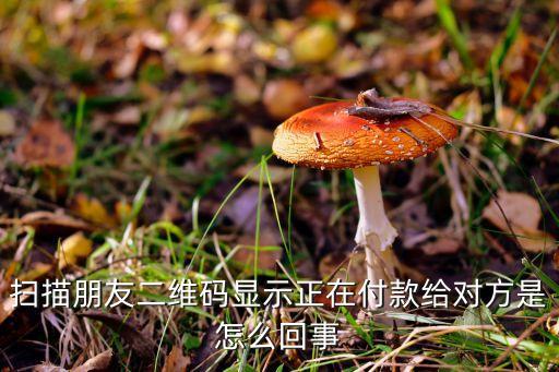 二維碼付款是什么情況，最近老是聽同學(xué)說二維碼支付什么的那么請問一下二維碼支付到底是