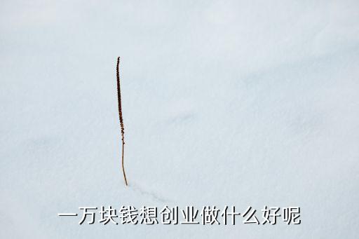 一萬塊錢想創(chuàng)業(yè)做什么好呢
