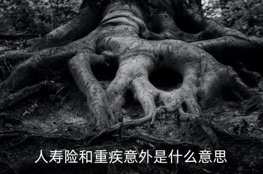 人壽險和重疾意外是什么意思