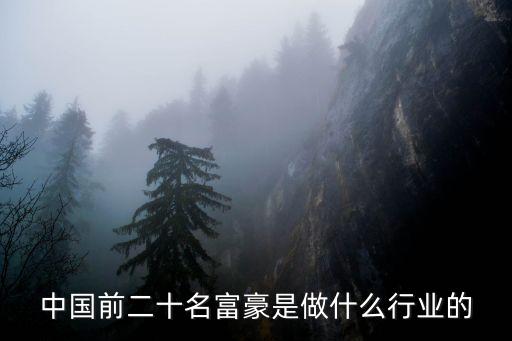 中國前二十名富豪是做什么行業(yè)的