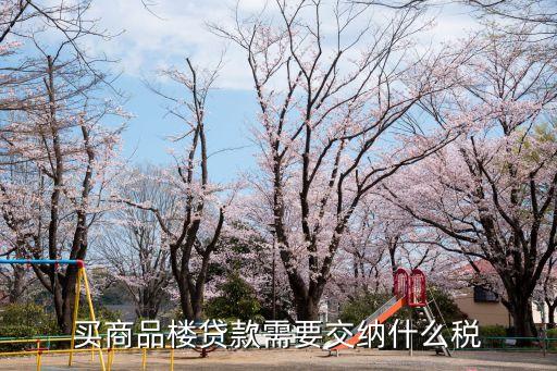 按揭房子需要交什么稅，按揭買房要交個(gè)人稅嗎還要交什么稅 急