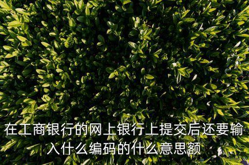 在工商銀行的網(wǎng)上銀行上提交后還要輸入什么編碼的什么意思額