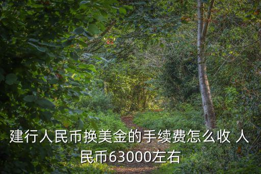 建行付美元手續(xù)費多少錢，建行人民幣換美金的手續(xù)費怎么收 人民幣63000左右
