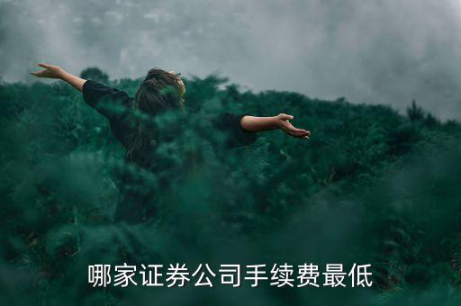 哪家證券公司手續(xù)費最低