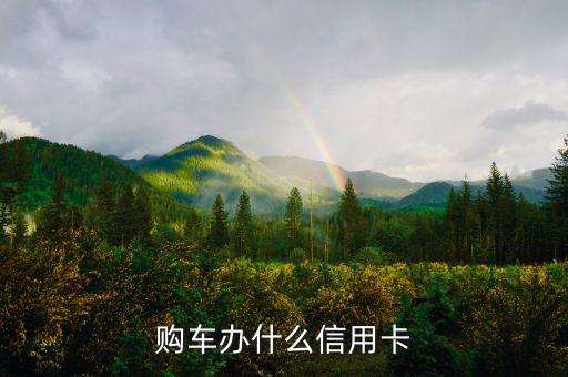購車辦什么信用卡