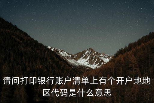 請問打印銀行賬戶清單上有個開戶地地區(qū)代碼是什么意思