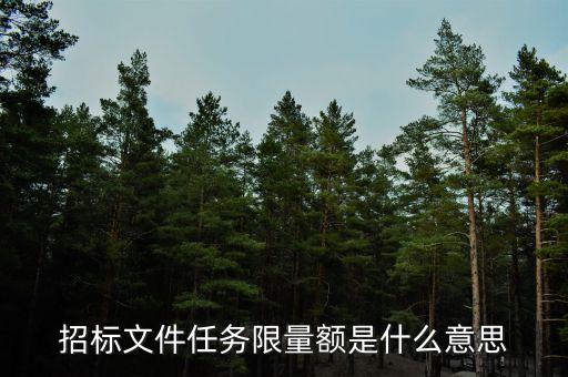 招標文件任務限量額是什么意思