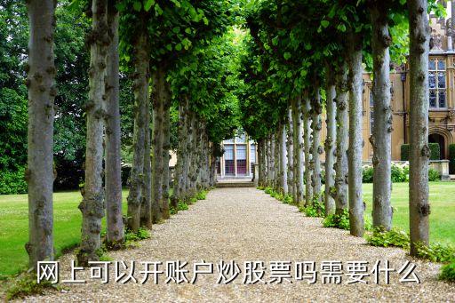 網(wǎng)上可以開賬戶炒股票嗎需要什么