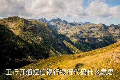 工行開(kāi)通短信銀行銀行代碼什么意思