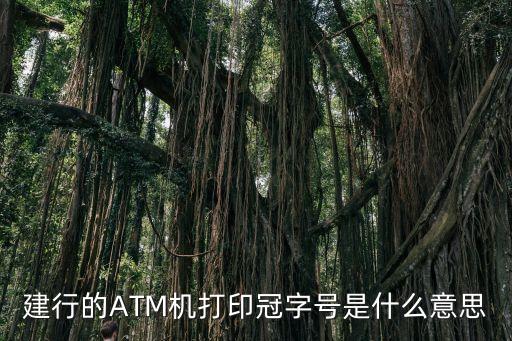 建行的ATM機(jī)打印冠字號(hào)是什么意思