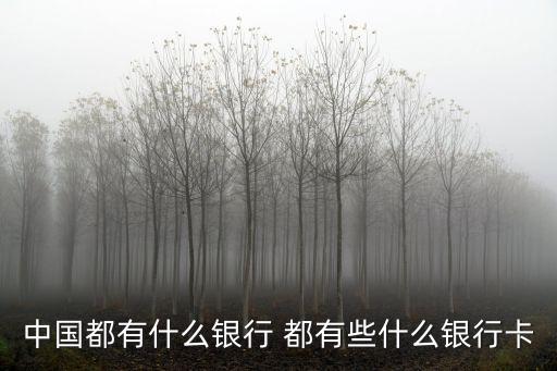 中國都有什么銀行 都有些什么銀行卡