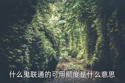 什么鬼聯(lián)通的可用額度是什么意思