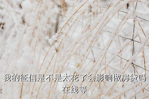 我的征信是不是太花了會(huì)影響做房貸嗎在線等