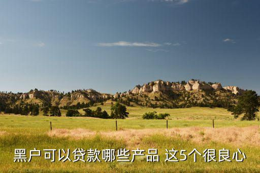 黑戶(hù)有什么好借的貸款嗎，黑戶(hù) 怎樣才能貸款